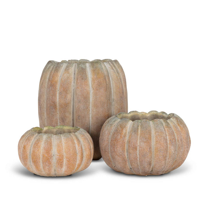Abbott - Cement Pumpkin Planter