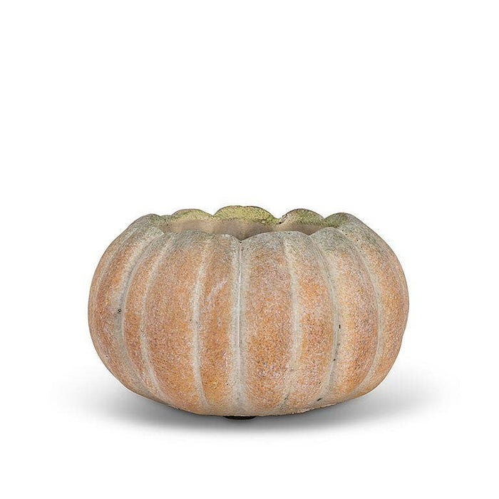 Abbott - Cement Pumpkin Planter