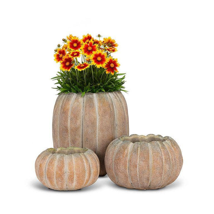 Abbott - Cement Pumpkin Planter
