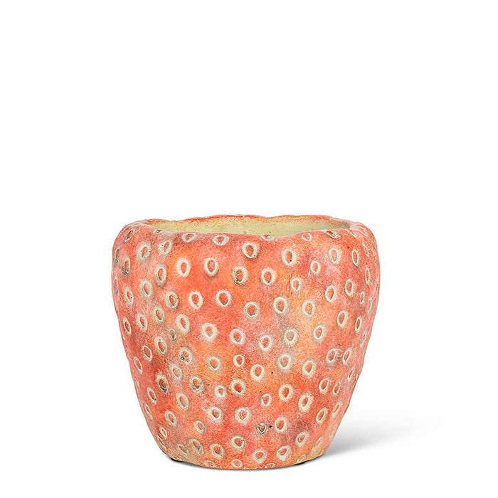 Abbott - Small Strawberry Planter-5"D