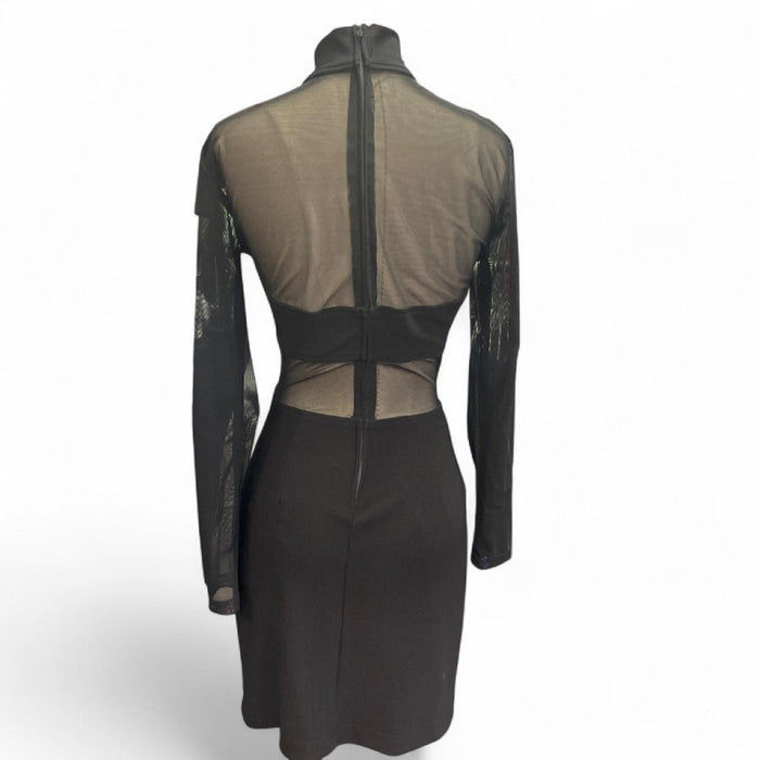 Black mesh long sleeve dress