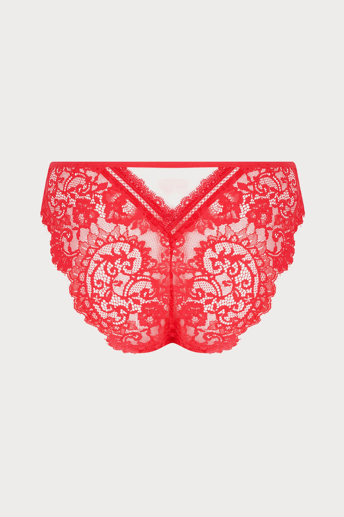 Lise Charmel Red Lace Italian Brief | Désirs de Venise Lingerie - back