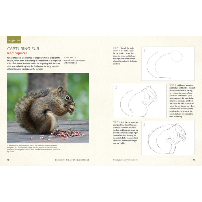 Discover the Art of Field Sketching: Nature-Inspired Techniques for Pencil, Pen, and Watercolor