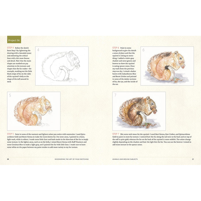 Discover the Art of Field Sketching: Nature-Inspired Techniques for Pencil, Pen, and Watercolor