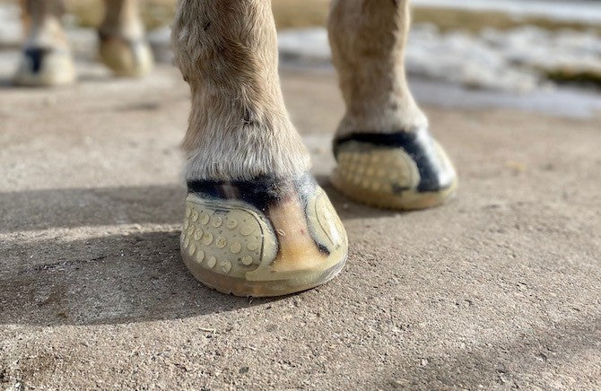 EasyCare EasyShoe Versa Grip Glue