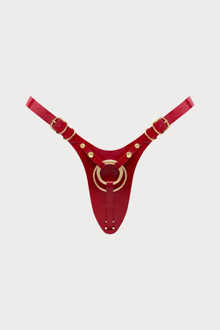 Fabulous Glossy Red Leatherette Harness