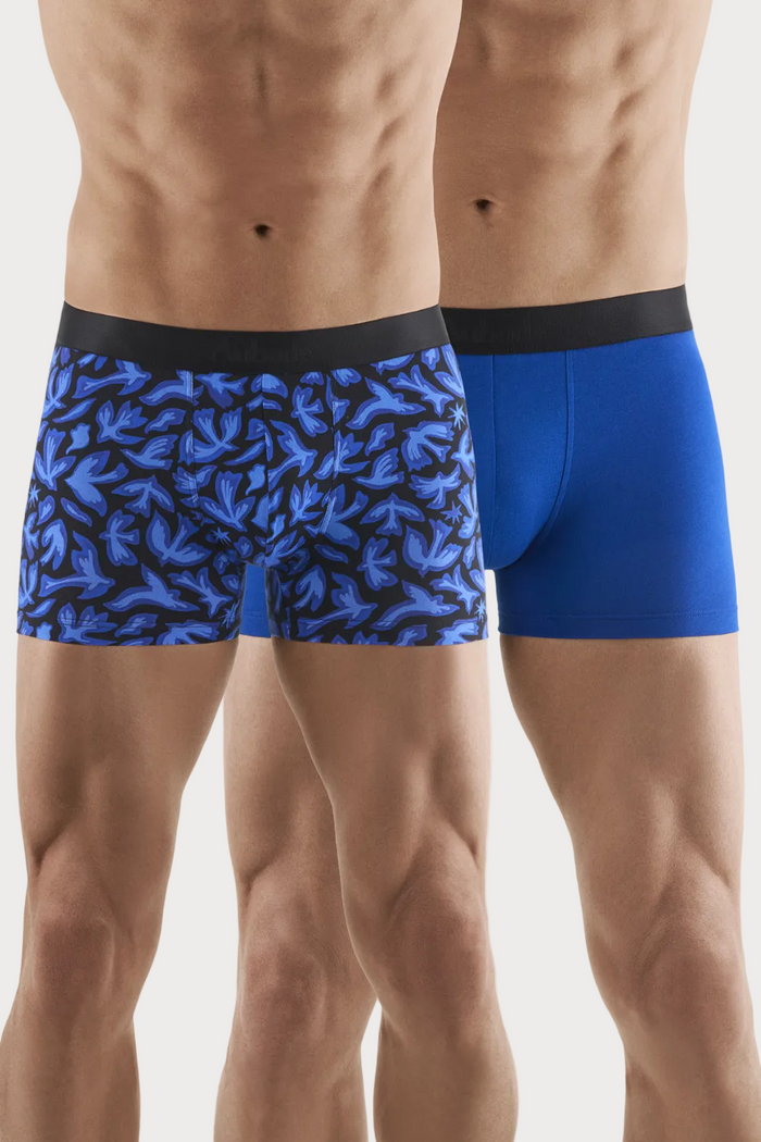 Aubade Homme Men's Cotton Modal Birds Duo Pack Boxers