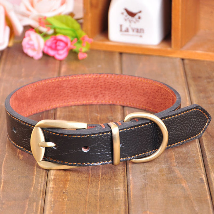 Jody Leather Dog Collar