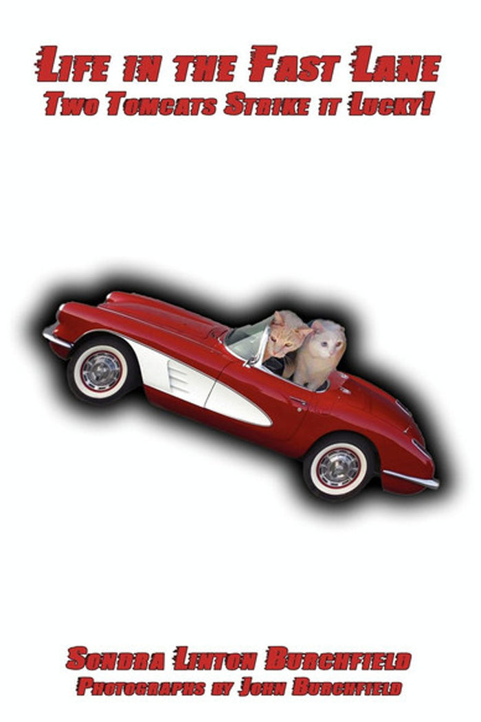 Life in the Fast Lane -Two Tom Cats Strike it Lucky!