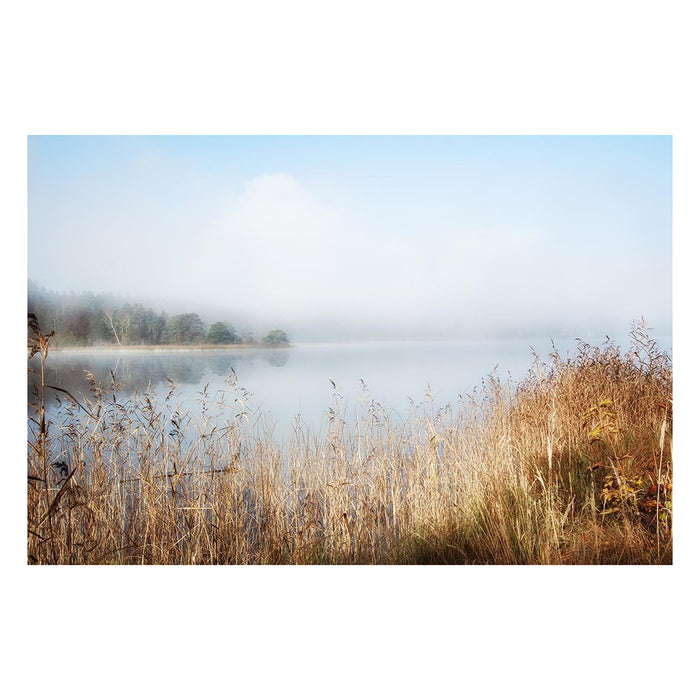 lovely nature from Classy Art LLC