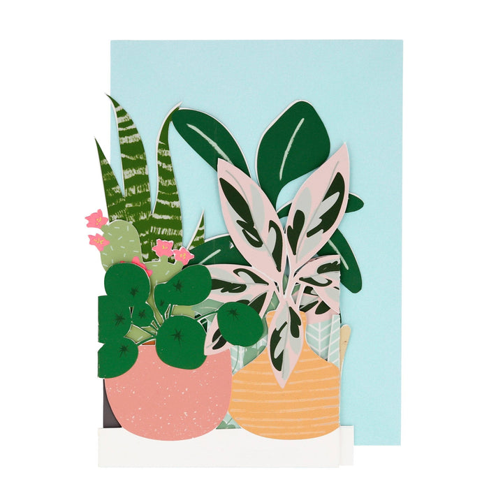 Meri Meri - Potted Plant Card