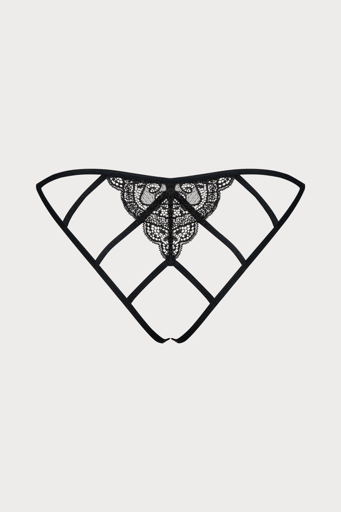 Miamor Open Brief