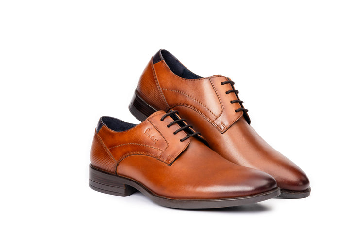 Modern Cognac Derby