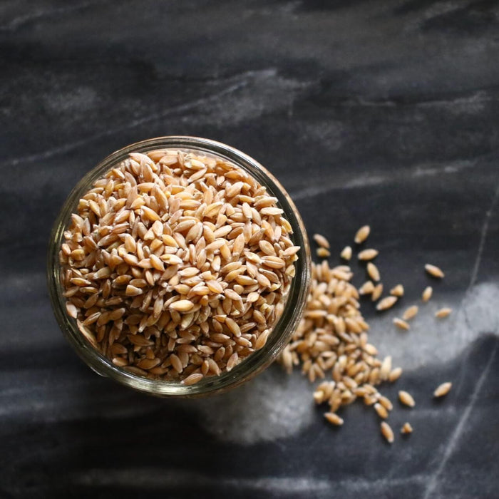 Organic Einkhorn Wheat Berries