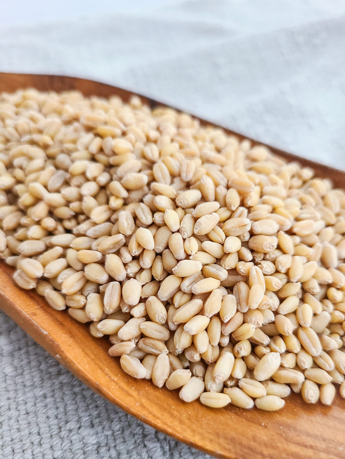 Organic Soft White Wheat Berries