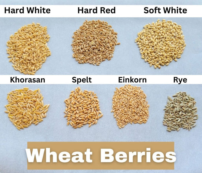 Organic Soft White Wheat Berries