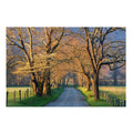 sunset path from Classy Art LLC