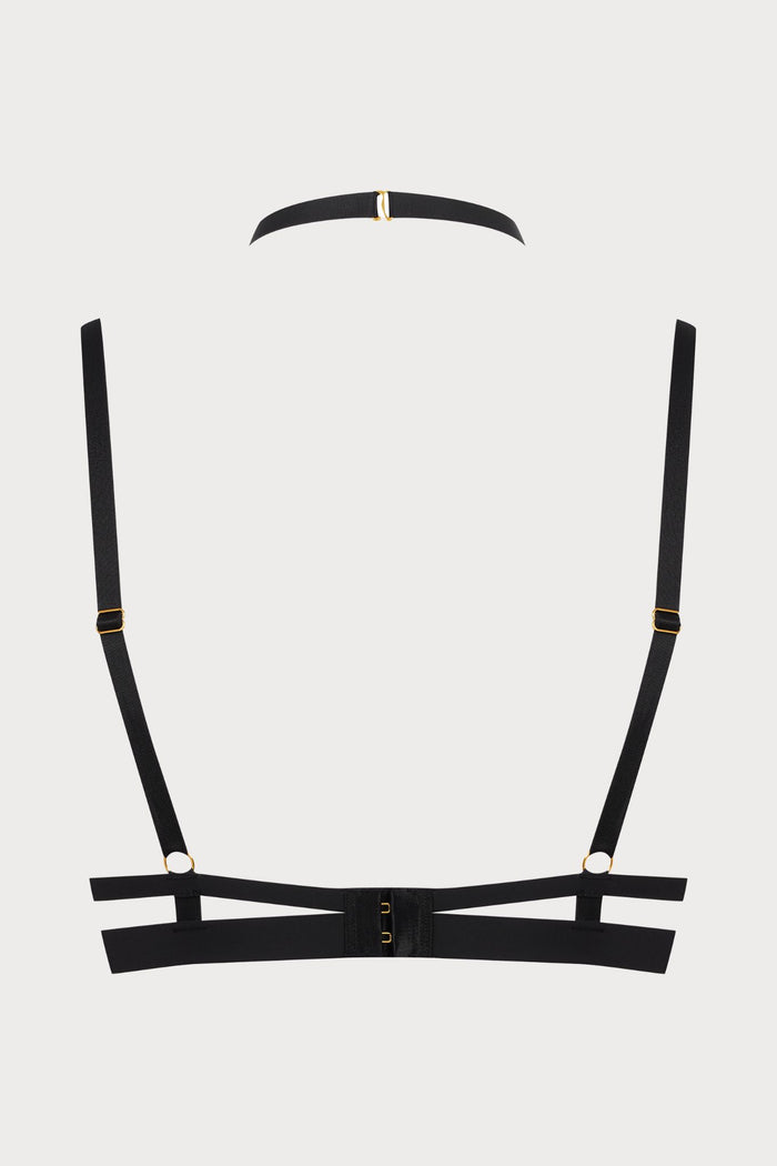 Maison Close Tapage Nocturne Push Up Bra - Naughty Knickers
