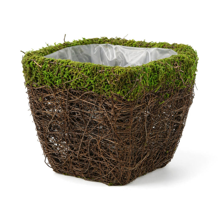 Empty wicker and moss square pot on a white background